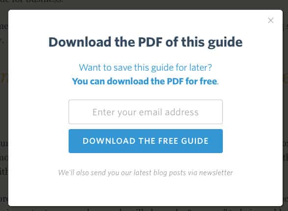 PDF Download as lead magnet