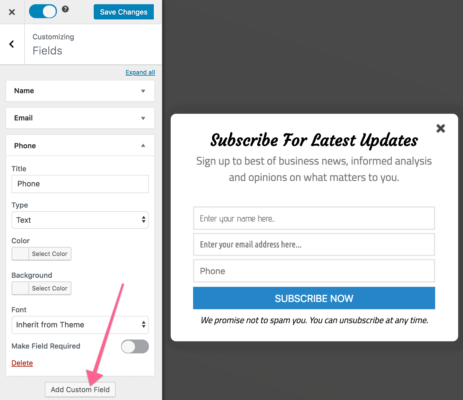 Adding extra custom fields to WordPress optin form