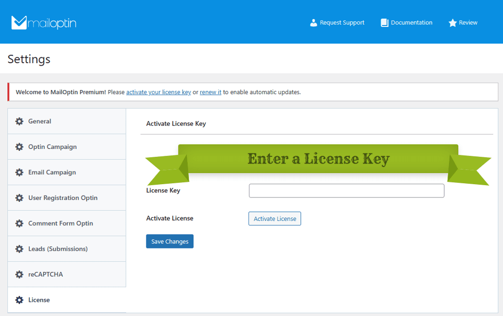 Verify your MailOptin license key